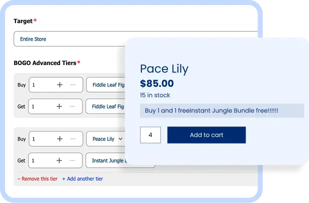 Demo image for Advanced BOGO Strategies